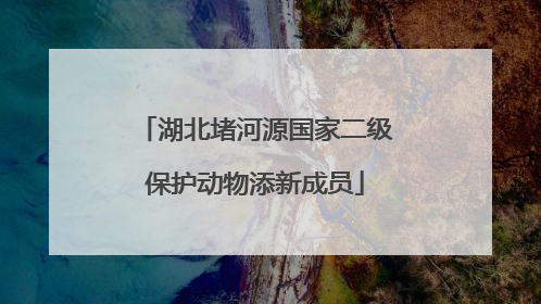 湖北堵河源国家二级保护动物添新成员